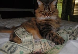 News 23 i am rich