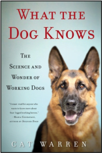 News 8 dog
