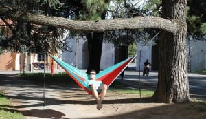 Why Buy Locally Owned? 8 Sluice Hammocks