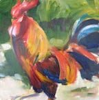 Beginner_rooster2 Beginner_rooster2