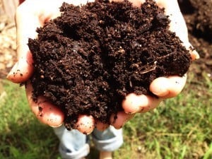 Compost-300x225-300x225