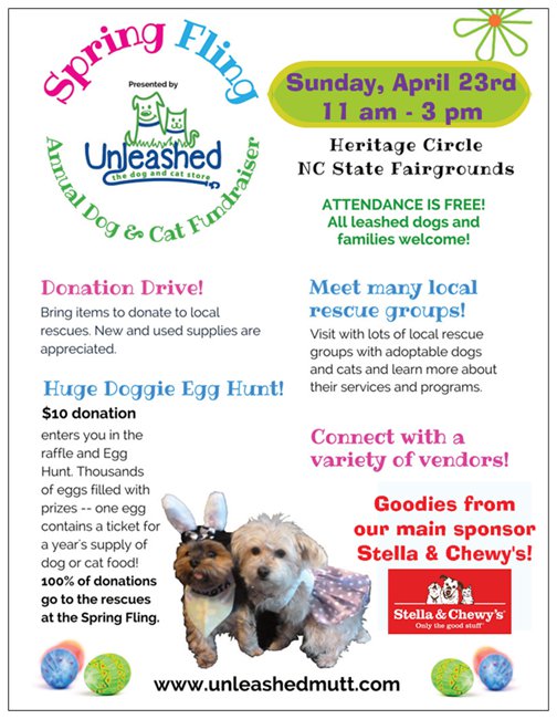 sf-flyer-front-1 sf-flyer-front-1