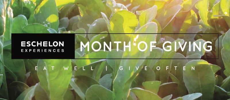 month-of-giving-july month-of-giving-july