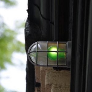 Member Spotlight - October's New and Renewed Members 24 40773 greenlight
