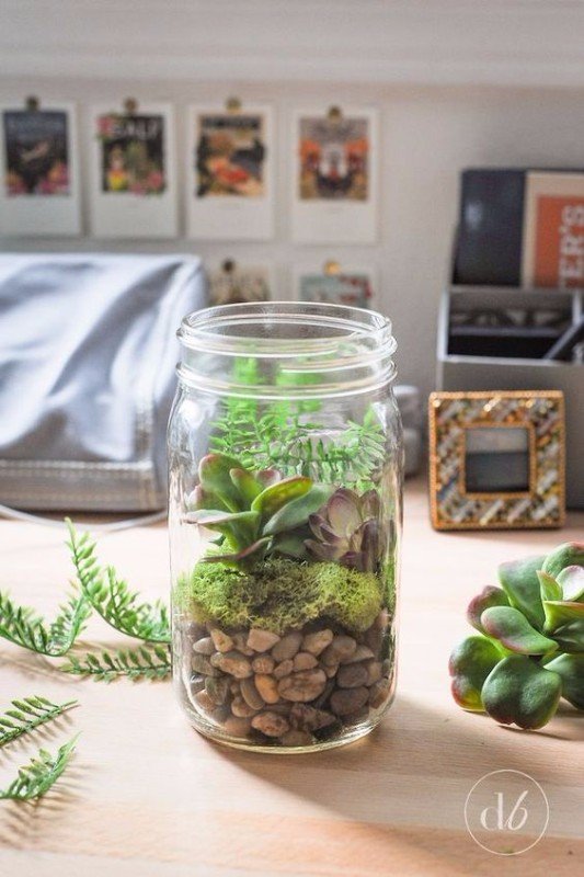 terrarium-mason-jar terrarium-mason-jar
