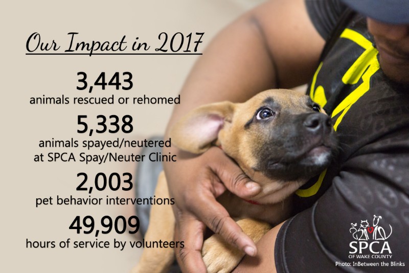 2017-impact-social-media-1 2017-impact-social-media-1