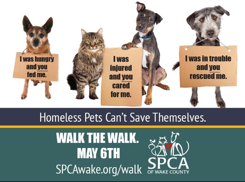 2018-dog-walk-graphic3 2018-dog-walk-graphic3