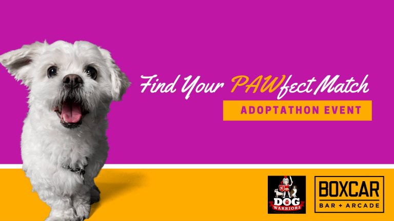 Pawfect Match Adoptathon 768x432