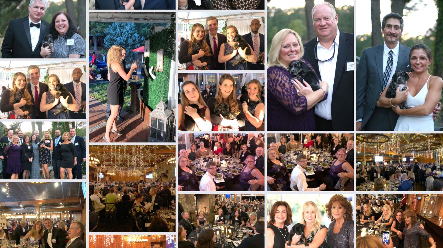 Gallery Collage 3