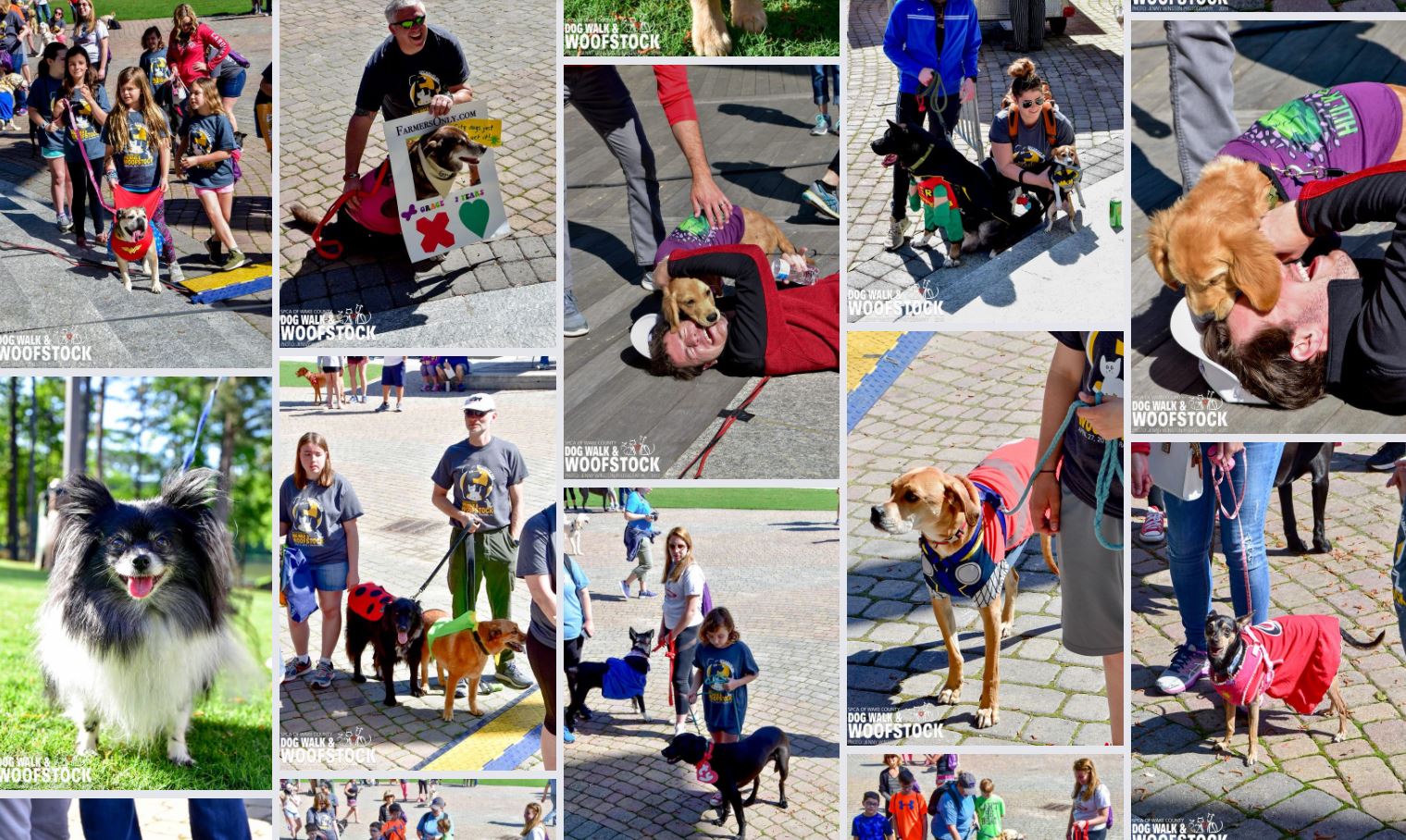 Gallery Collage 4