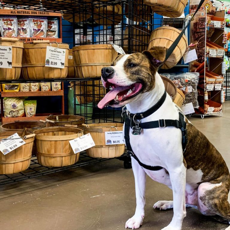 Unleashed: The Dog and Cat Store Unleashed: The Dog and Cat Store