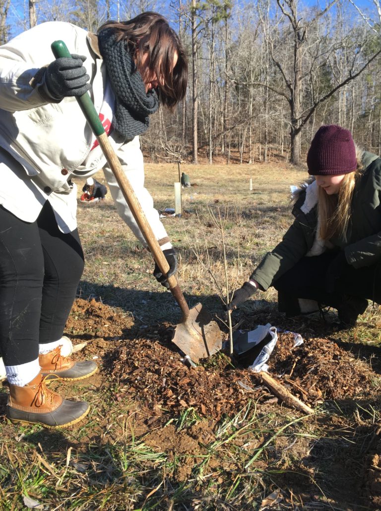 We Plant it Forward Tree Planting