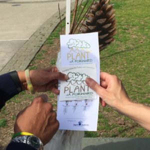 Discover Local Non-Profits for Giving Tuesday 2025 9 We Plant it Forward