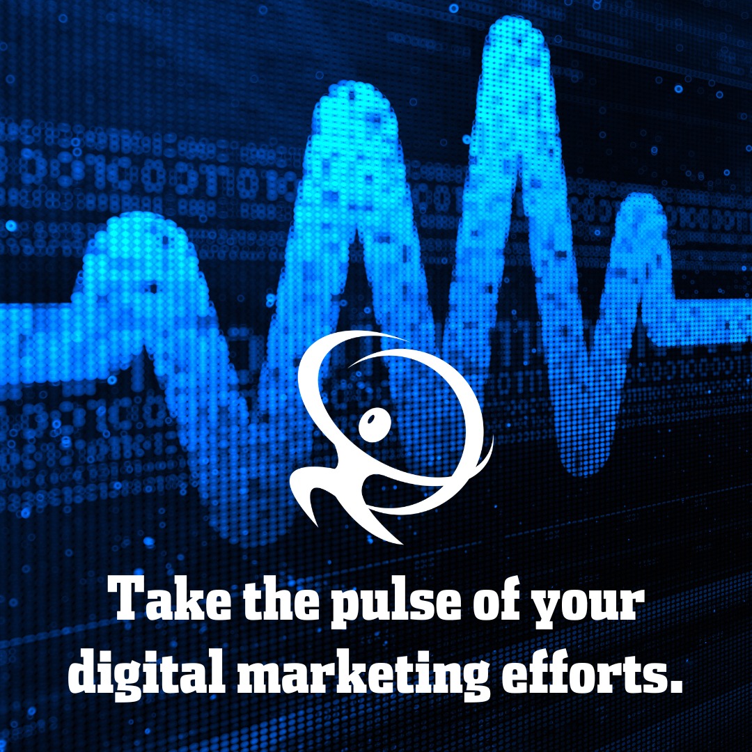dpt marketing