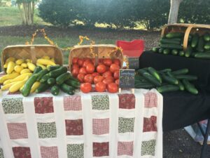 Member Spotlight – July’s New & Renewed Members 18 71343991 1242452842601222 2196005856342966272 n