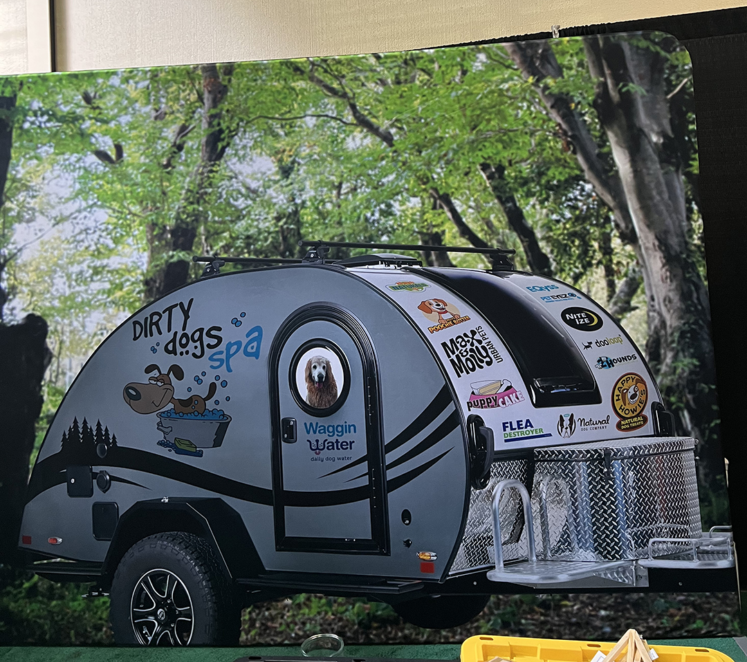 DDS event backdrop