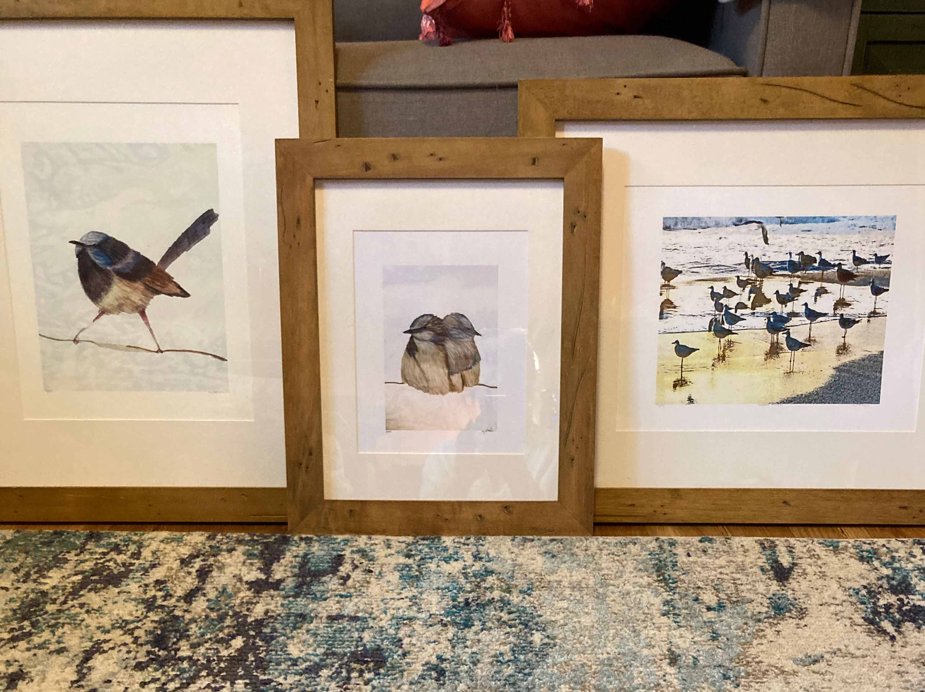 birds
