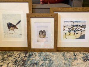 December's New and Renewed Members 25 birds