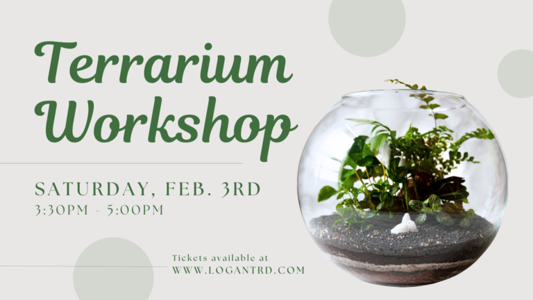 Terrarium Workshop Feb 3 2024 1920 x 1080 px 768x432
