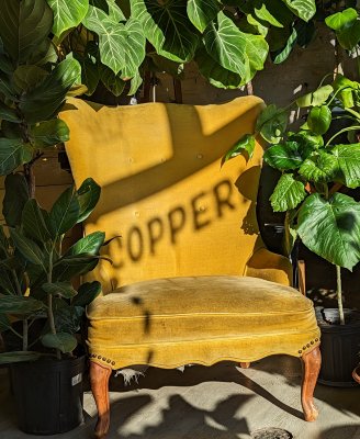 Copperline Plants