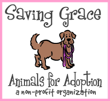 sg logo 1