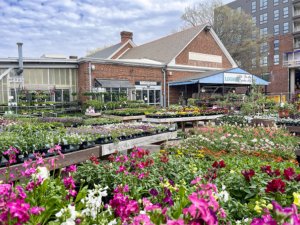 Member Spotlight – March's New & Renewed Members 47 IMG 5842 reduced