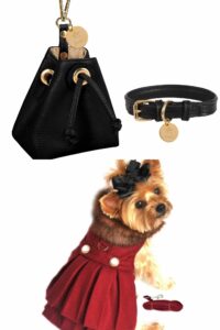 October's New and Renewed Members 51 Dog Fashions Collage 3