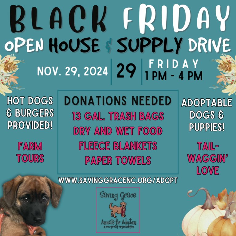FB Black Friday Open House 2024 11 HM 1920 x 1005 px Instagram Post 768x768