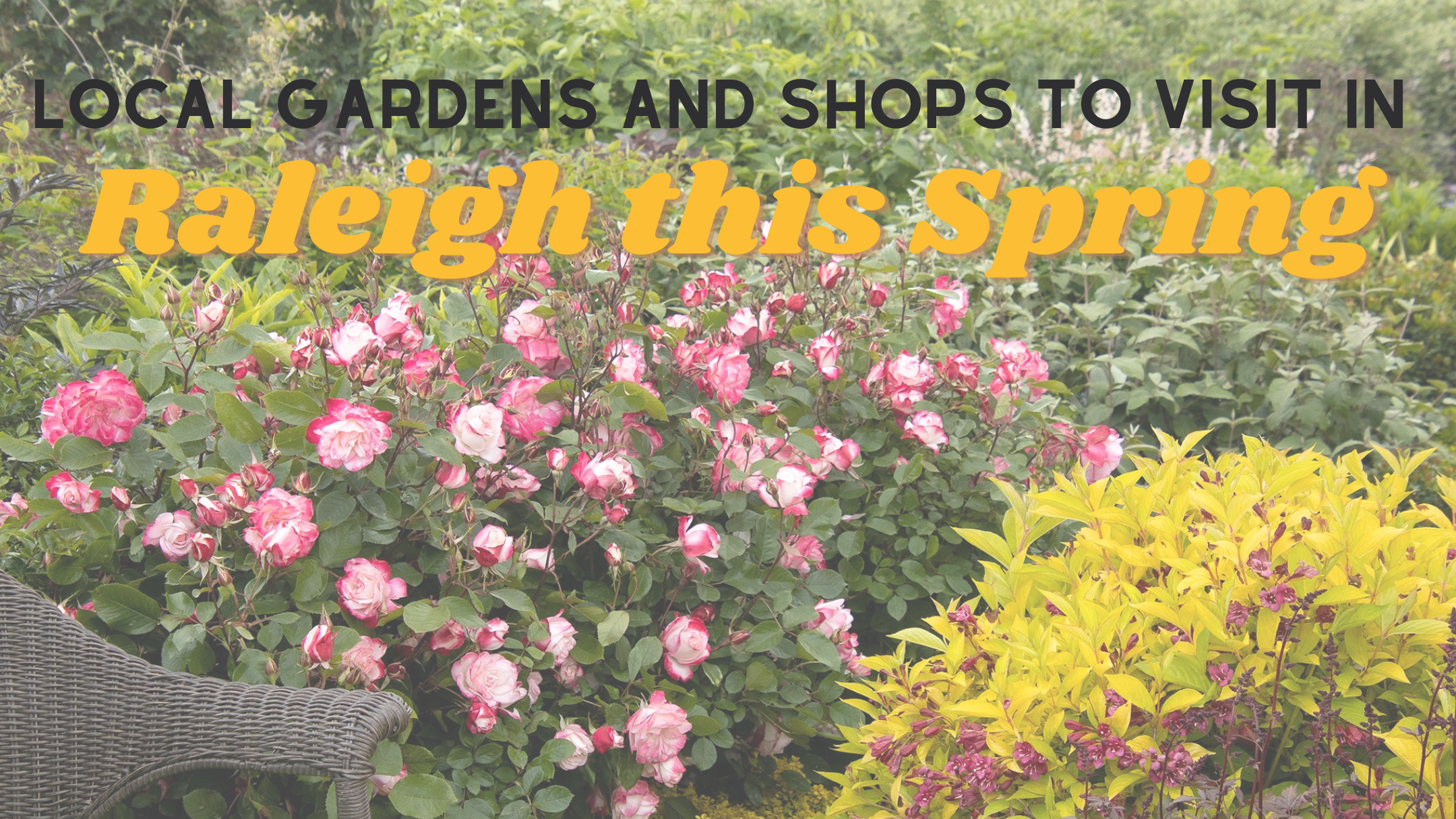 News 81 local gardens and shops