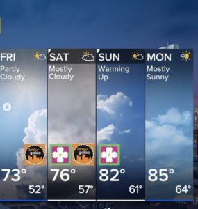 2024 Brewgaloo Forcast