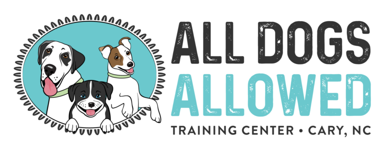 ADA Logo horizontal tagline 1 768x302