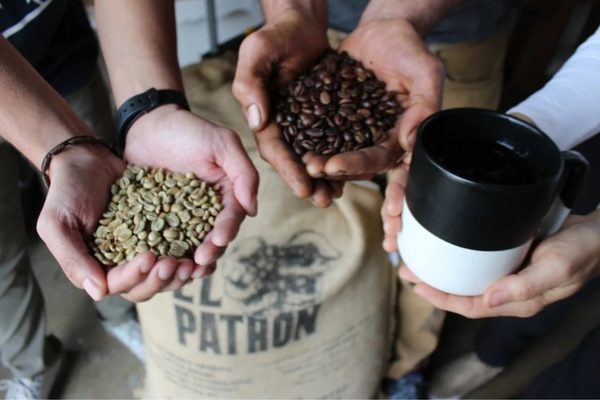 Local Coffee Shops Serving Up Autumn Flavors