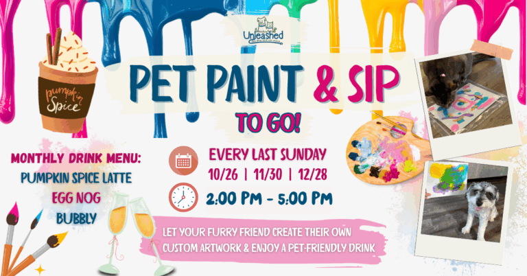 Paint Sip 1 2 768x402