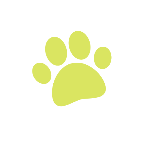 Pawpalooza Webpage Filler