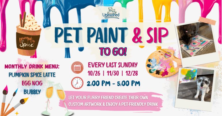 Paint Sip 1 2 768x402