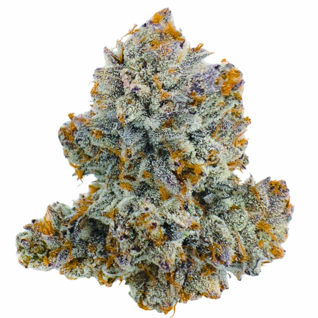 Honeysuckles Strain of the Year Blue Zooties from Sherlocks Glass Dispensary
