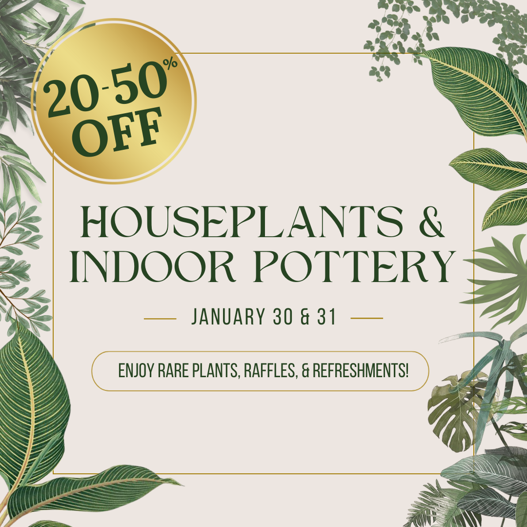 Add Business Directory Listing 5 Houseplant 1080x1080 Organic Social 1